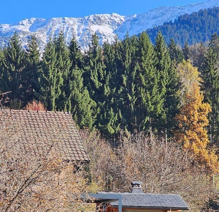 La Petite Maison Bonvillard ภายนอก รูปภาพ